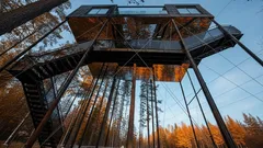 Nocování v ptačím hnízdě? Poznejte fascinující pokoje Treehotelu v severní Skandinávii