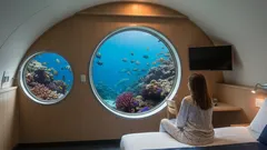Jak se spí pod hladinou: vše o slavném hotelu Jules' Undersea Lodge
